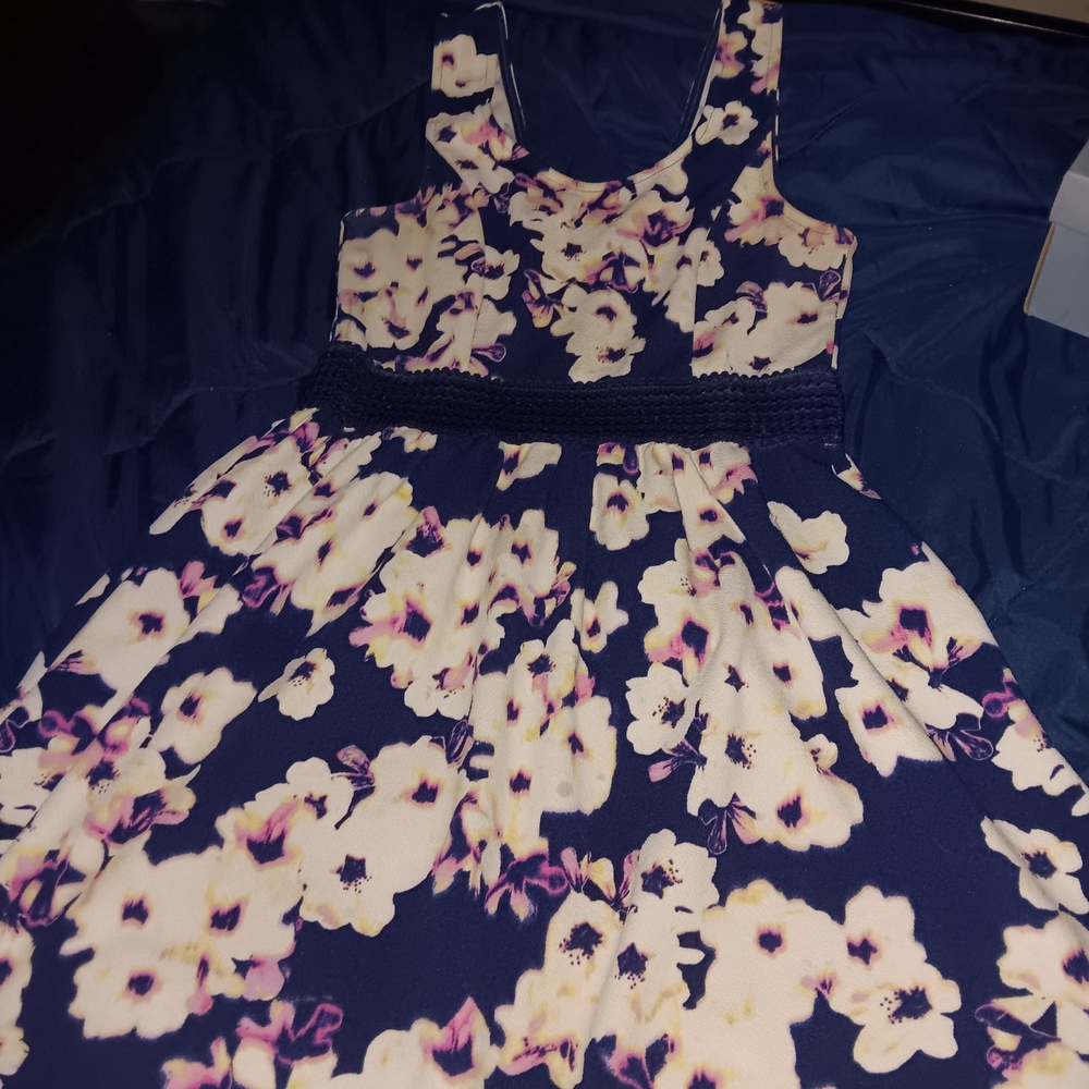 Trixxi Navy and Cream Floral Dress